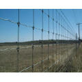 Hot Sale Fixed Knot Woven Wire Fence